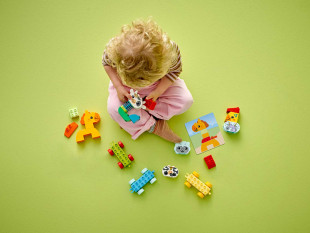 Конструктор LEGO DUPLO 10412 Поезд с животными - фото